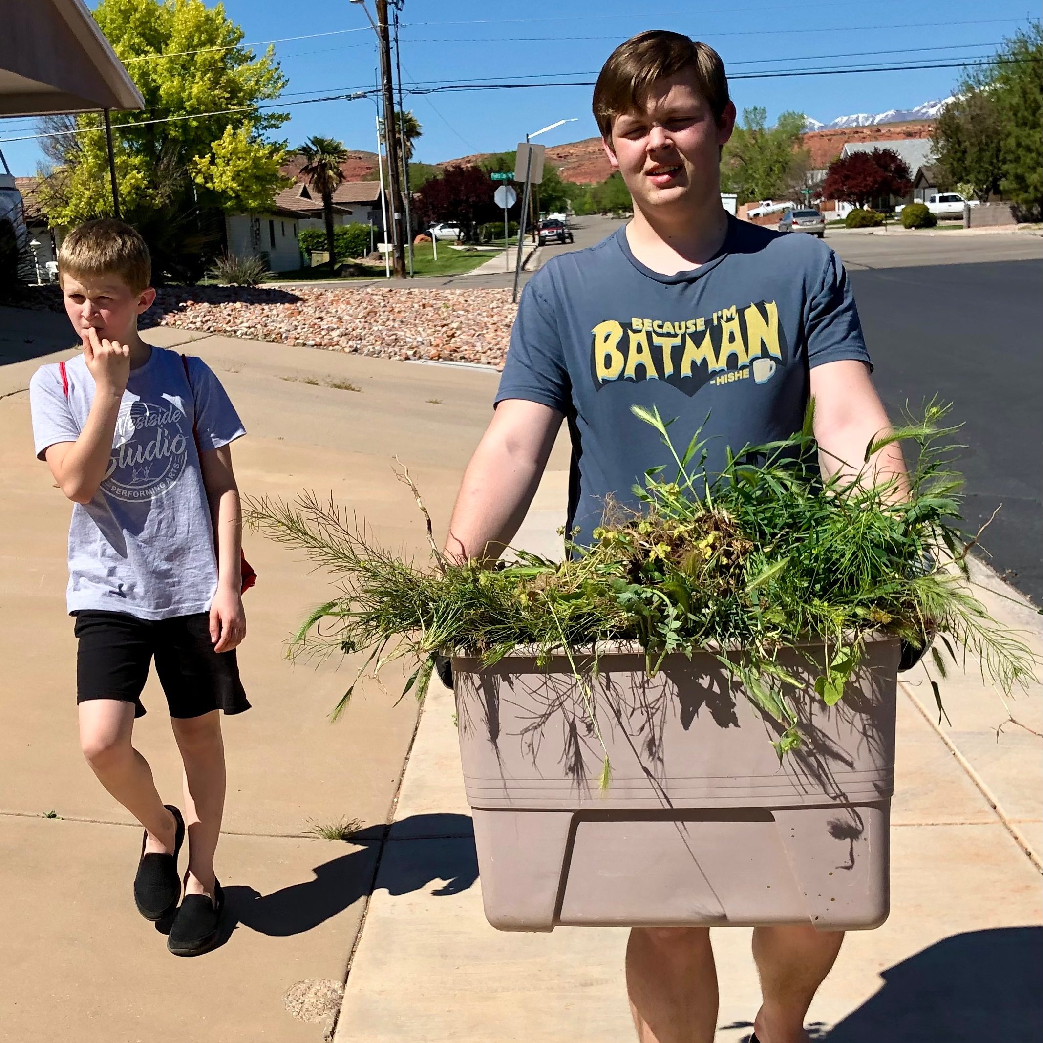 Boys walking back from a service project holding a tote filled with seeds they pulled for a neighbor.